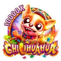 Chillihuahua